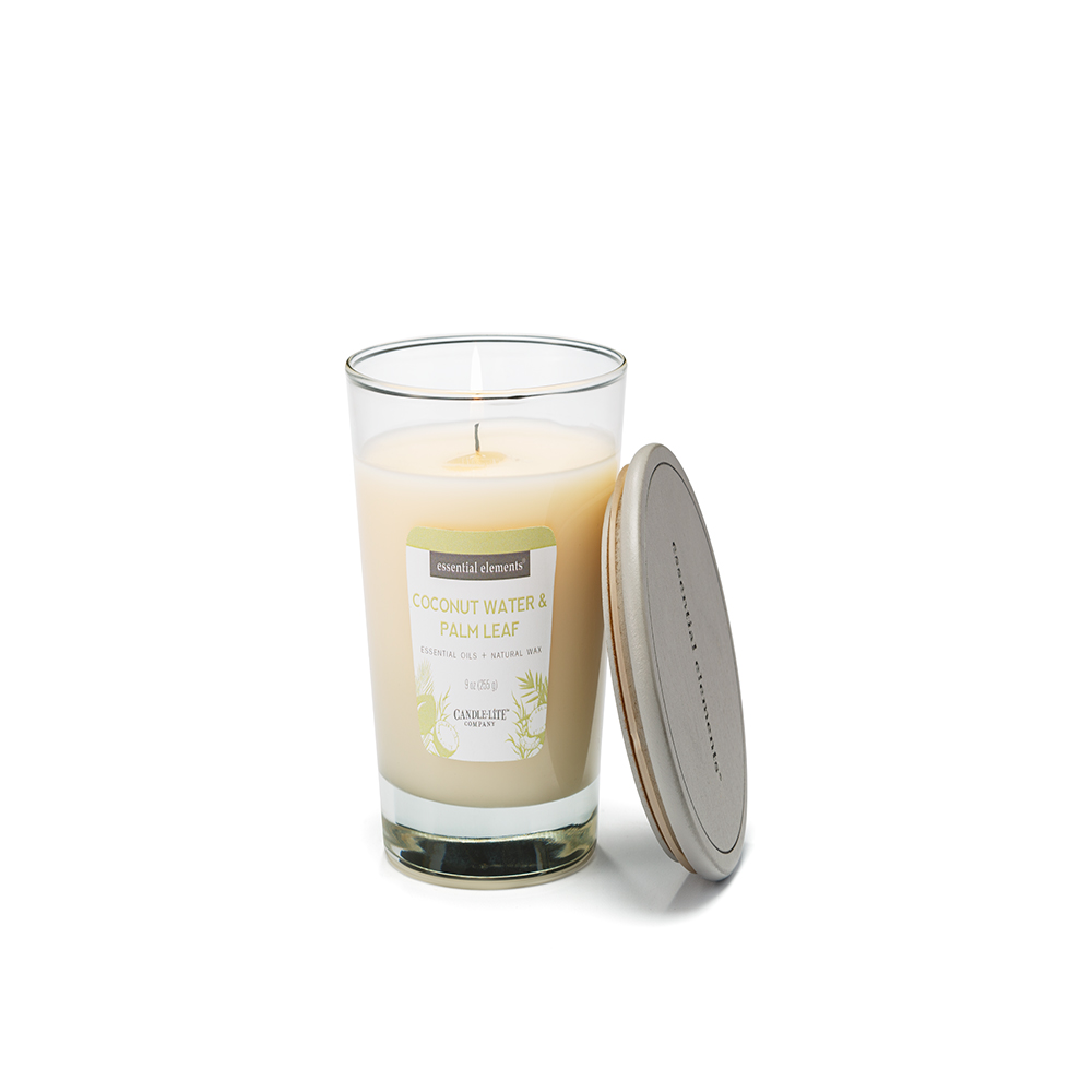 VELA 9 OZ ESSENTIAL ELEMENTS COCONUT WATER & PALM LEAF CANDLE LITE (4471367)