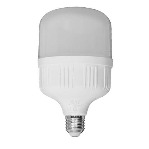 [8796X] BOMBILLO LED 24W (HT80401X)