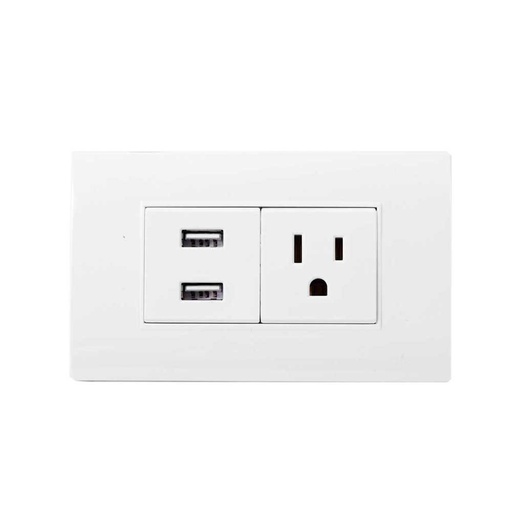 [1651BX] LINEA BK PLUS BLANCA INCRUSTAR TOMA SENCILLO + 2 USB (118K-36) (HT20686)