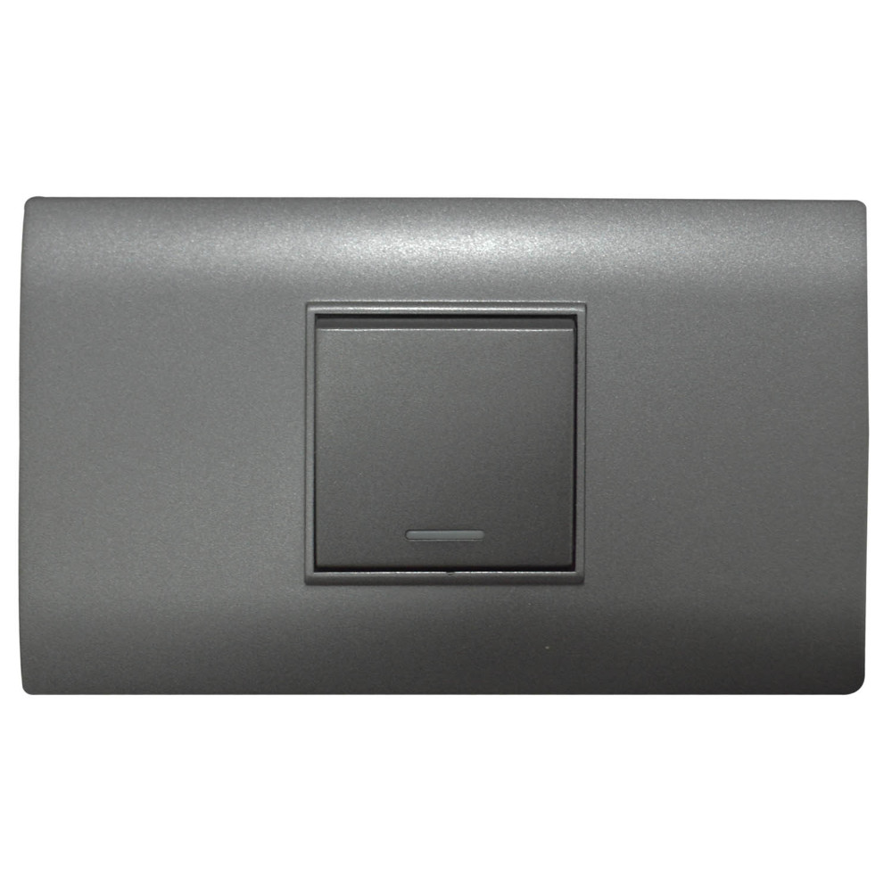 LINEA BK PLUS GRIS INCRUSTAR SWICHE SENCILLO CONMUTABLE 110-220 (118K-01-3W-FMGRY) (HT20704)