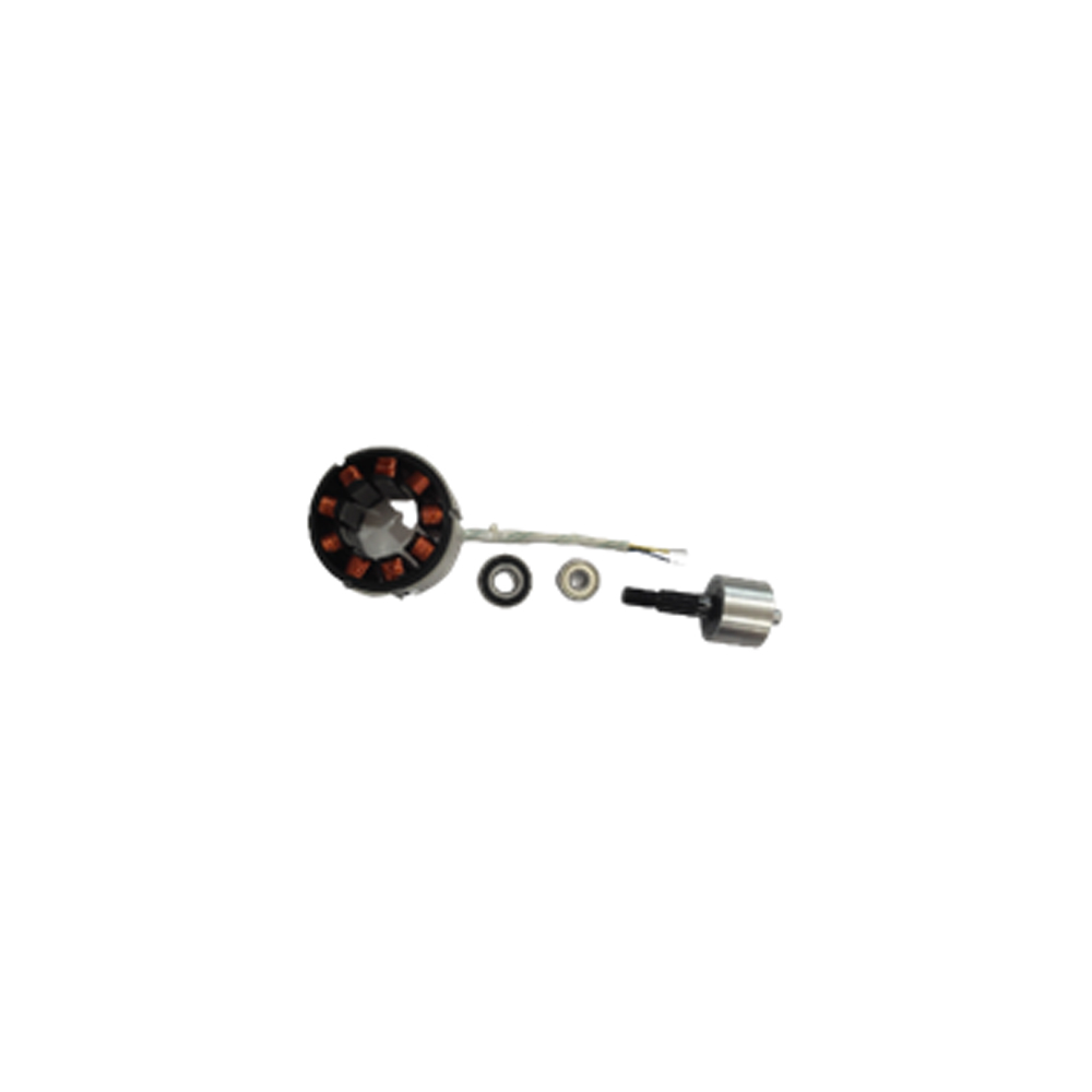 MOTOR TSTLI20018 (TSTLI20018-SP-17/18)