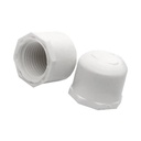 TAPON ROSCA 1/2 PVC PQT X 2 UDUKE