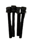 TORNILLO CON ARANDELA PLASTICA (UTH2130016-SP-50)