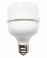 BOMBILLO LED 30W LUZ DIA E27 (ZFR61) 