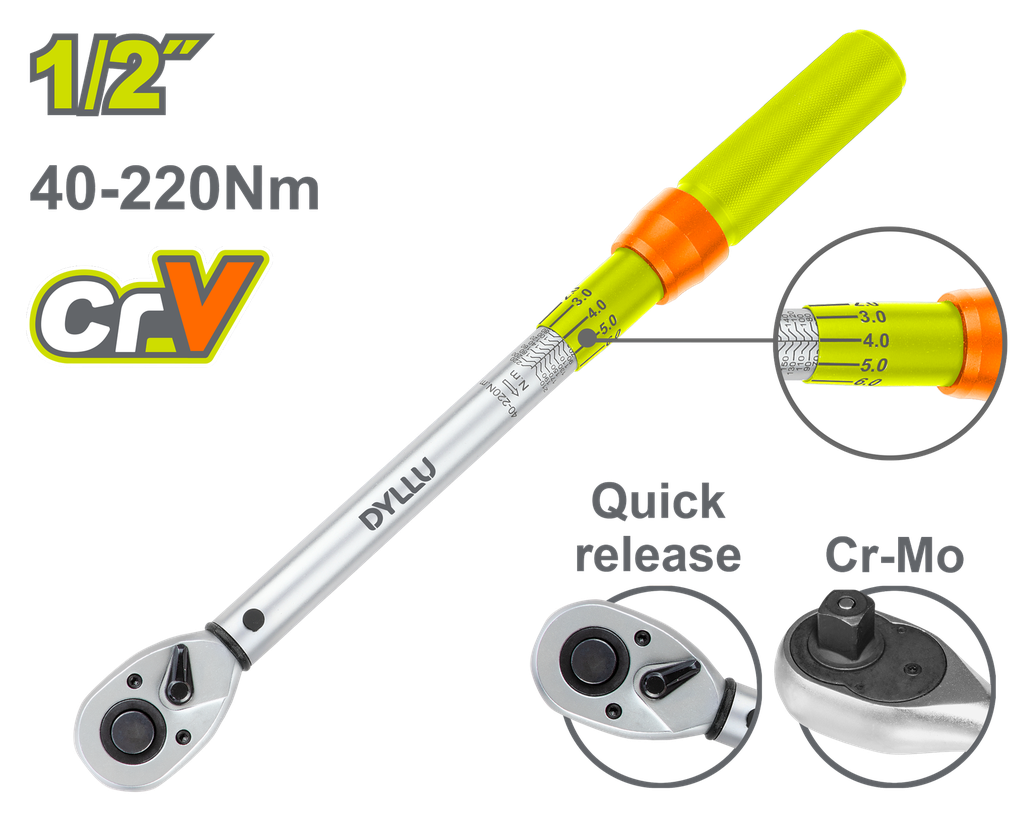 RACHE 1/2 DYLLU (DTWQ1D12)