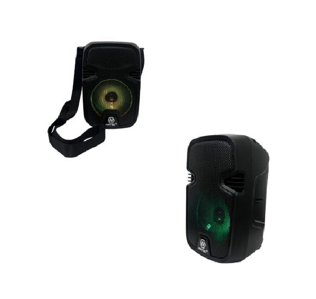 PARLANTE 5" NIATEC BLUETOOTH-FM-USB-MICRO SD-TWS-LUZ LED INCLUYE CORREA (NT-PB11)