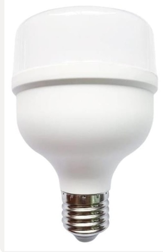 [13359A] BOMBILLO LED 50W LUZ DIA E27 MULTIVOLTAGE (ZFR25)