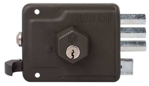 [5128A] CHAPA DE S/P GATO SUPER 21 GRIS TRES MACHOS DERECHA (REF-S21)