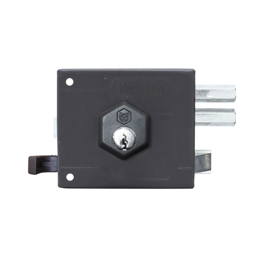 [19042] CHAPA MASTER 21 DER GRIS GATO