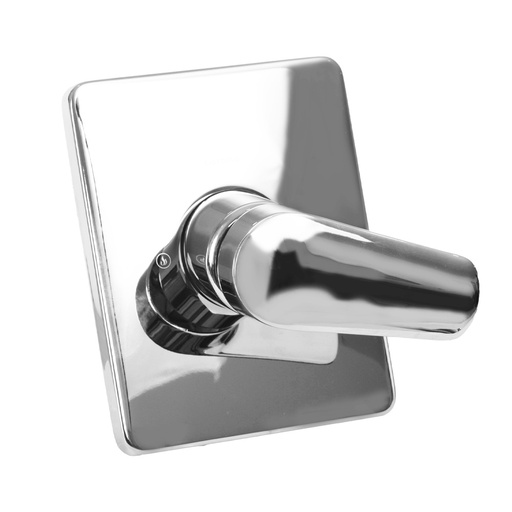 [13176] REGISTRO DUCHA MONOCONTROL GRETA SD GRIVAL (PM4085551)